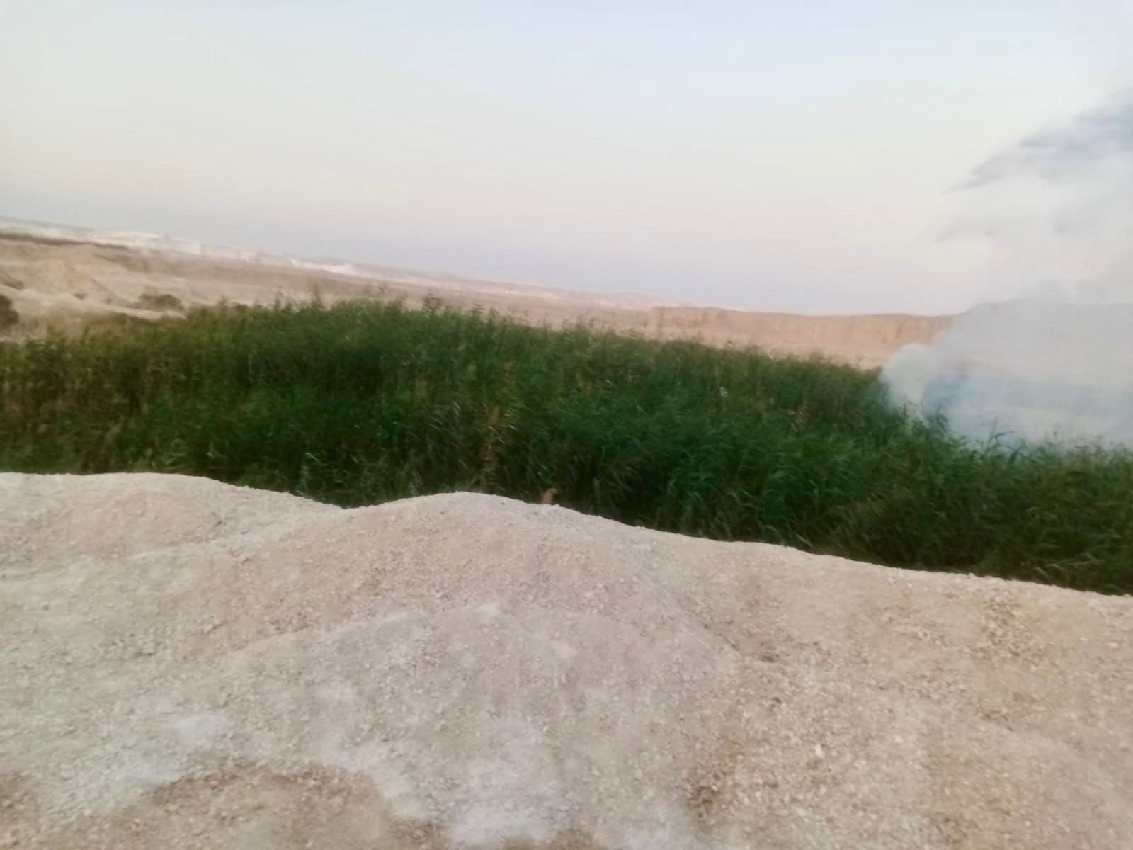 WhatsApp Image 2026-04-28 at 8.19.34 PM